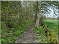 Bubnell - Footpath on eastern edge of St Mary