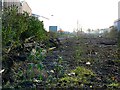 Disused railway trackbed, Avonmouth