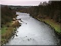 The River South Tyne upstream from Ridley Bridge