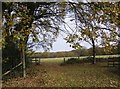 Footpath to Bentley station