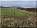 Farmland to the north of Newton Lane