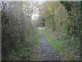 Moor Lane, Balloon Woods