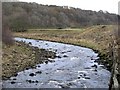 The River West Allen upstream of the bridge at Wide Eals