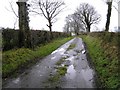 Road at Ballynagalliagh