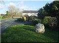 Roadside  bushes and boulder