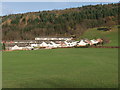 Houses on Pengwern