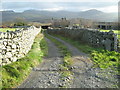 Lane to Brwyn-llynau farm