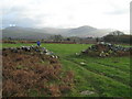 Farmland near Rhiwgoch