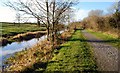 Disused Lagan Navigation near Aghalee