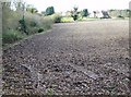 Farmland east of Hay Place