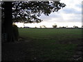 Farmland west of Allesley Green