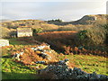 Coed y Bachau barn