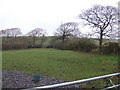 Small field near Webbery Cross