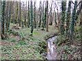 Stream at Shutteroaks Bridge