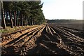 Ploughed field near Brandon