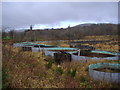 Fish farm at Philiphaugh