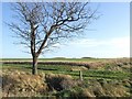 Footpath to Legbourne