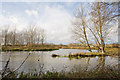 Sharp bend in River Avon west of Trafalgar Park