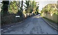 View NW along Waterworks Lane, Martin