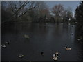 Village Pond