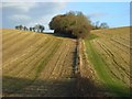 SU7382 : Farmland, Rotherfield Greys by Andrew Smith