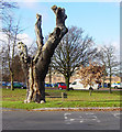 Looking towards Frimley Park Hospital