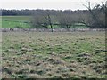 Pastures and woodland near Kirkharle (3)