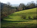 Pasture below Homer Farm