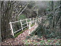 Footbridge over Row Brook