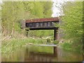 Railway bridge of the River Slea