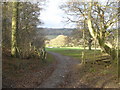 Track to Hillend Farm