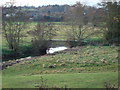 Footbridge over the River Brett