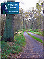 Track to Tillyoch Farm Stables