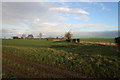 TF0632 : Farmland near Folkingham by Kate Jewell