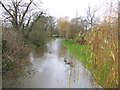 River Perry - view upstream from Yeaton Bridge