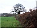 Footpath Near Cheswardine