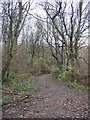 Road into the valley, off Manchester Road, Milnsbridge, Linthwaite