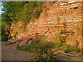 Cliffs at the south end of Gunthorpe weir