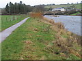 Clyde Walkway near Crossford Bridge