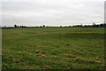 Earthworks at Burton-le-Coggles