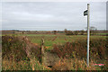 Footpath at Westby