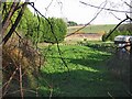 TR2356 : Watercress beds on Watercress Lane, Wingham Well by Nick Smith