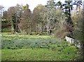 River Wey floodplain