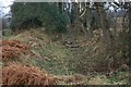 Ditch Near Derwentcote Farm