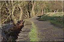 NZ1759 : Riverside Path at Lady Haugh by Mick Garratt