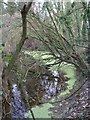 Stream near Nether Hale Farm