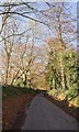 Church Lane, West Meon rising towards Court Farm House