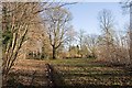 Path through Lippen Wood, nr West Meon