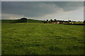 Farmland near Queenshill Manor