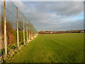 Eckington - Sports Field View